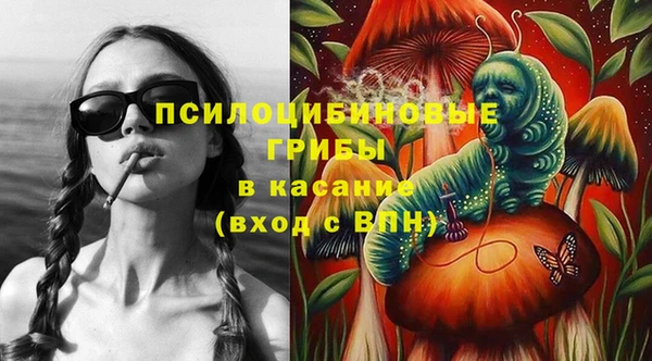 индика Абаза