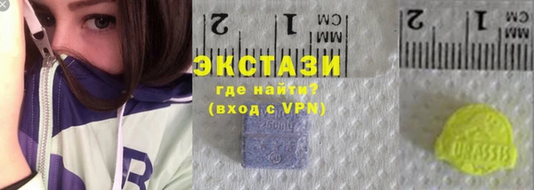 индика Абаза