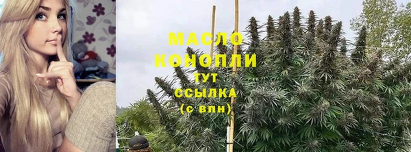 индика Абаза