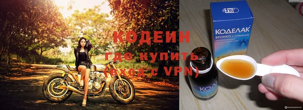 индика Абаза