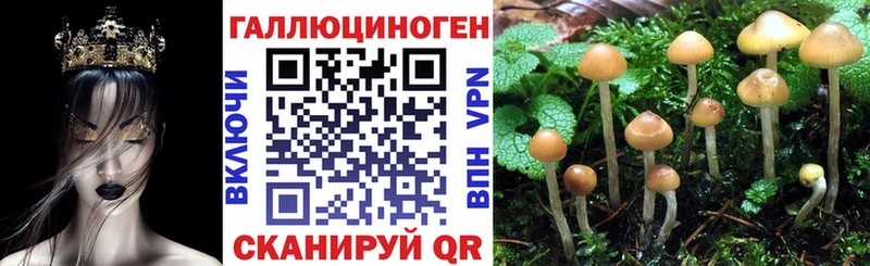 Галлюциногенные грибы Cubensis  MEGA ССЫЛКА  Советская Гавань 