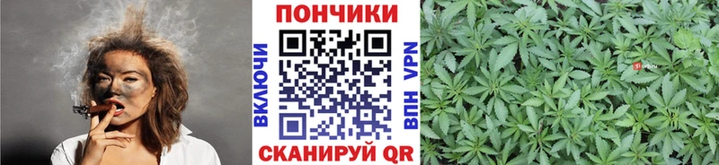 Конопля индика Советская Гавань